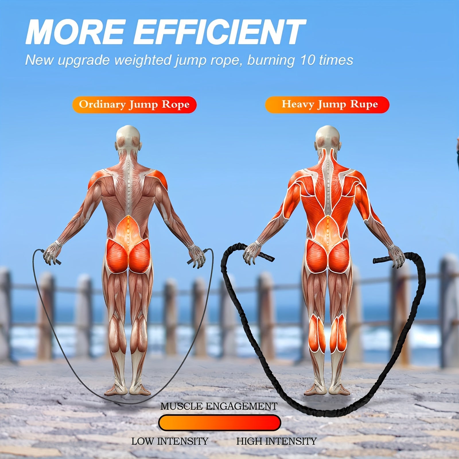 9.2 FT 1" Heavy Battle Ropes For Home Gym, Strength Training Workout Rope, Building Muscle Gym Ropes