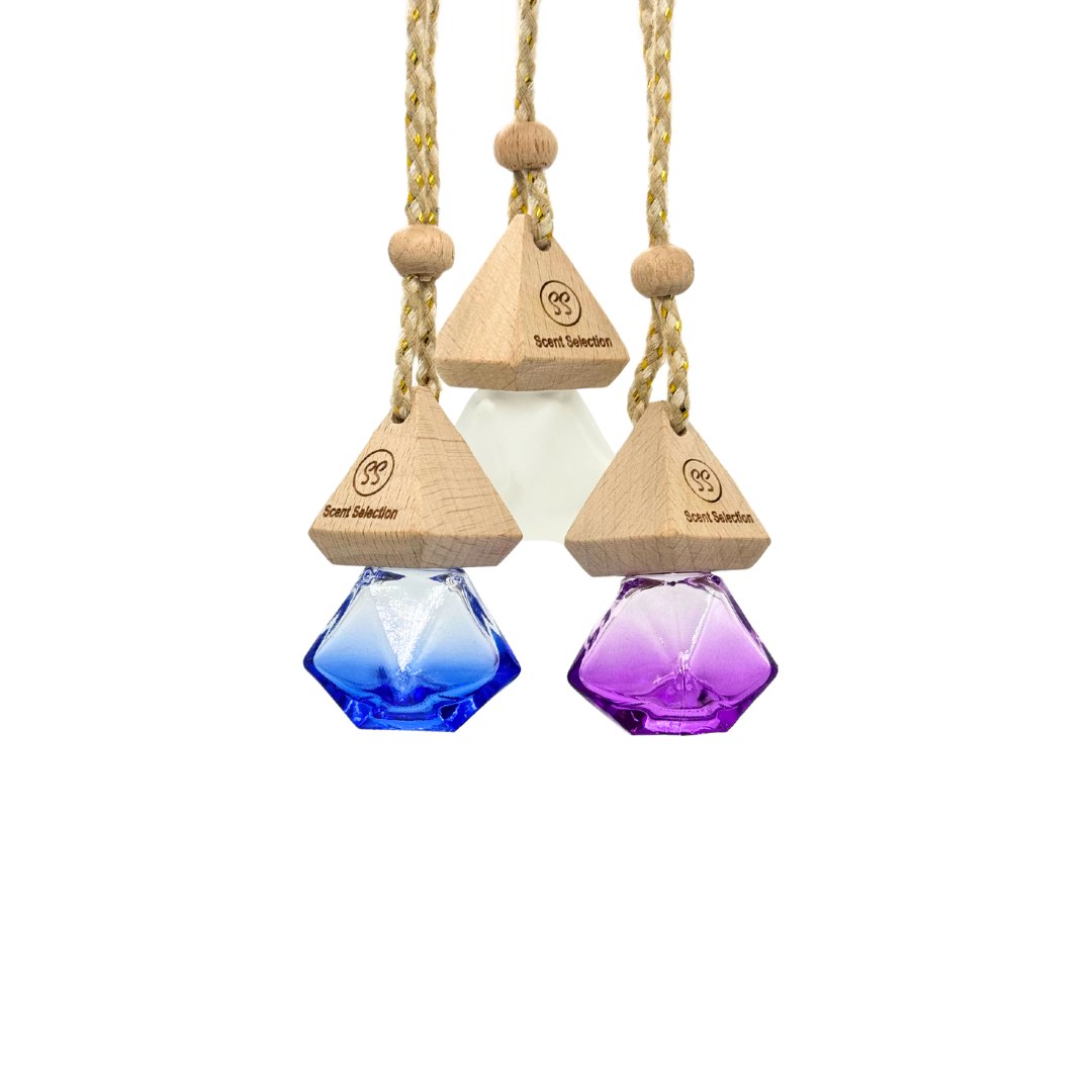 Goji Berry & Blood Orange Hanging Car Air Freshener Diffuser - 3 Colours-0